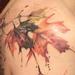 Tattoos - Maple Leaves - 71656